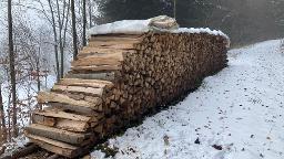 Brennholz Esche, Buche Mixnitz