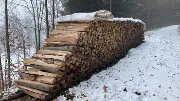 Brennholz Brennholz Esche, Buche