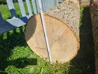 Rundholz Esche Waidhofen an der Ybbs