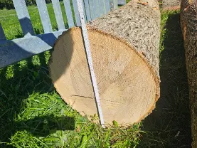 Rundholz Rundholz Esche
