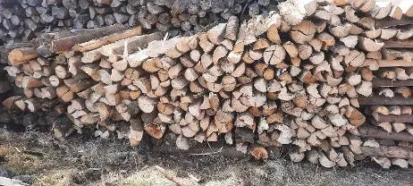 Brennholz Brennholz Fichte