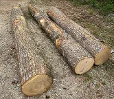 Rundholz Esche Rappottenstein