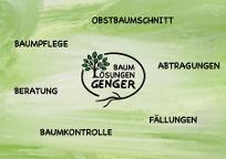 Baum:Lösungen Genger (Baumabtragung/-pflege) Treubach