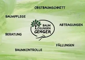 Dienstleistung Baum:Lösungen Genger