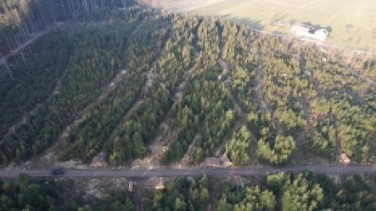 ad Wald besitzen ohne Arbeit