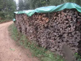 Brennholz Brennholz Buche