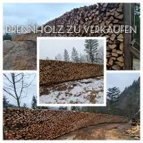 Brennholz Brennholz Esche, Ahorn, Buche