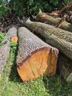 Rundholz Eiche Stammbloch astrein und 1 Birnbaum Gschwandt