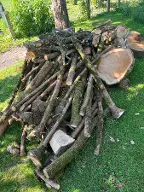 Brennholz Fichte Verkaufe frisch geschnittenes Brennholz Gampern