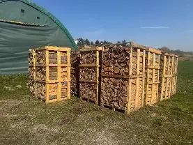 Brennholz Brennholz Buche