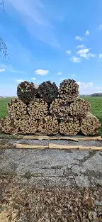 Brennholz Esche, Buche Handenberg
