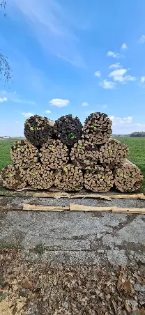 Brennholz Brennholz Esche, Buche