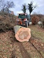 Rundholz Esche Astrein Weyregg