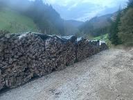 Brennholz Buche St.Anton an der Jeßnitz