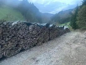 Brennholz Brennholz Buche