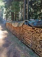 Brennholz Esche, Sonstiges Holz, Ahorn