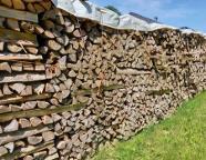 Brennholz Fichte Scheiter Hitzendorf 