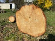 Rundholz Fichte Gablitz