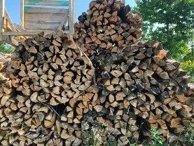 Brennholz Brennholz Kiefer
