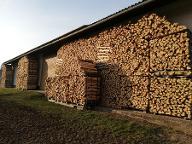 Brennholz Esche