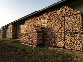 Brennholz Brennholz Esche
