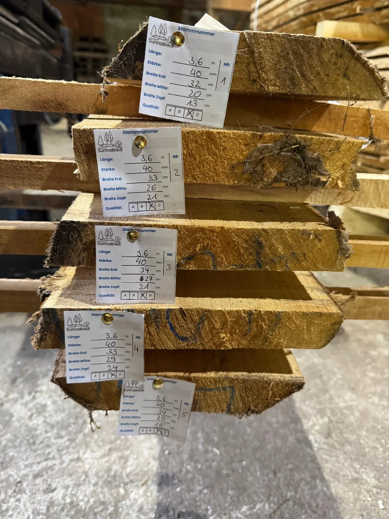 Schnittholz Sonstiges Holz Thuja - Nr. 24011 in Wackersberg - holzquelle