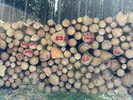 Rundholz Fichte Ruedenberg