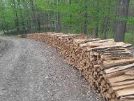 Brennholz Eiche, Buche