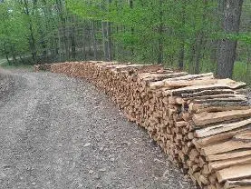 Brennholz Brennholz Eiche, Buche