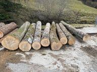 Rundholz Esche