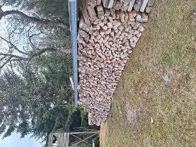 Brennholz Brennholz Buche