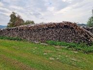 Brennholz Fichte, Esche