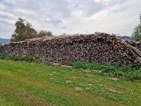 Brennholz Brennholz Fichte, Esche