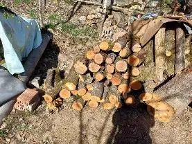 Brennholz Brennholz Apfel, Birne, Eiche