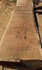 Schnittholz Eiche - Nr. 24038