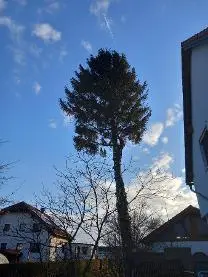 Dienstleistung Lukas Hofbauer