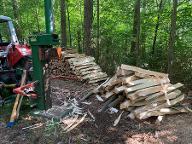 Brennholz Esche, Ahorn, Buche
