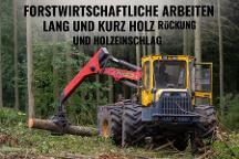 Dienstleistung N.Neumann  (Holzernte & Rückung)