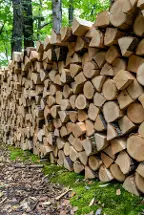 Brennholz Buche Trockenes Brennholz aus NÖ + günstige Lieferung Hollabrunn