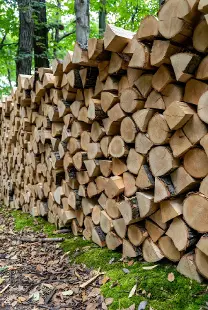 Brennholz Brennholz Buche Trockenes Brennholz aus NÖ + günstige Lieferung