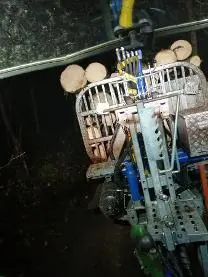 Dienstleistung Rückewagengespann