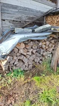 Brennholz Brennholz Esche