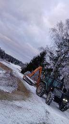 Dienstleistung Holzschlägerung Bringung D. Strohmer (Holzernte & Rückung)