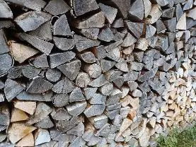 Brennholz Brennholz Esche