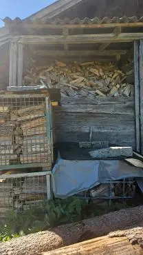 Brennholz Brennholz Esche