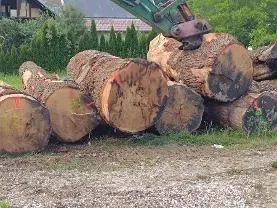 Rundholz Rundholz Eiche