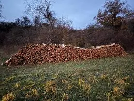 Brennholz Brennholz Sonstiges Holz, Buche
