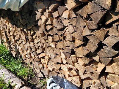 Brennholz Esche
