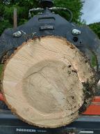 Rundholz Esche Astrein