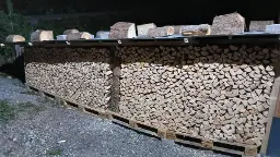 Brennholz Fichte Niederndorf